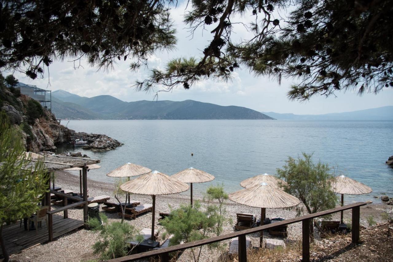 Apartament Agrilia Koromili Retreat Paralia Livadostratas Zewnętrze zdjęcie